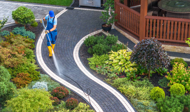 Best House Pressure Washing  in Cameron Park, TX