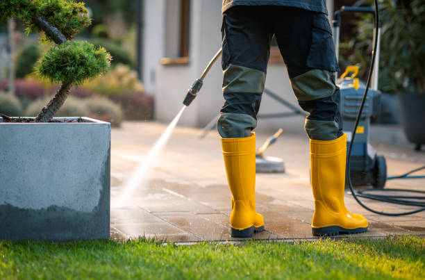 Best Roof Pressure Washing  in Cameron Park, TX